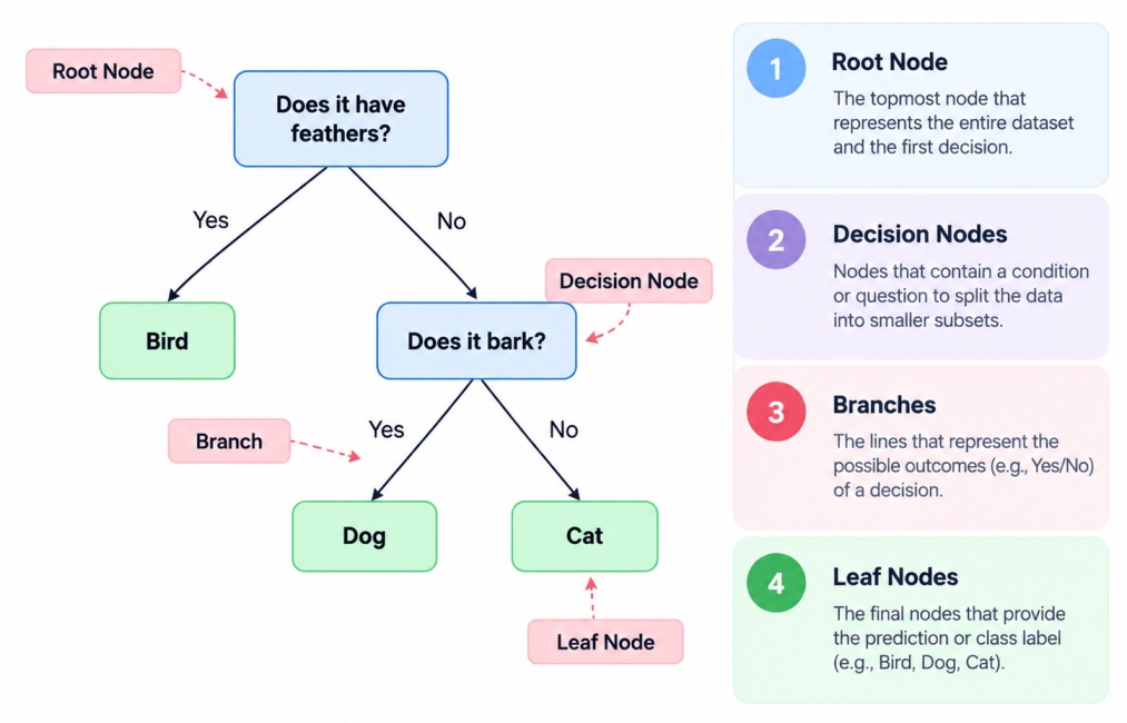Decision tree illustrating root, decision, branch, and leaf nodes using bird, dog, and cat classification.